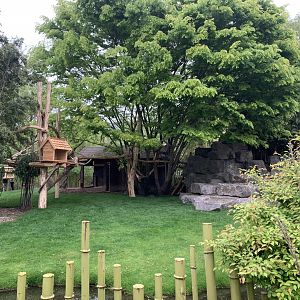 Binturong and Bharal enclosure with new climbing frames