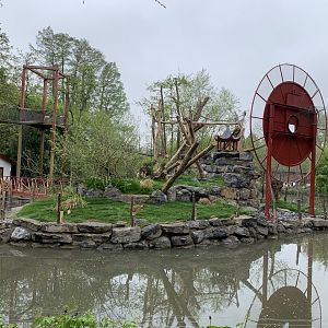 Finished island for new monkey species