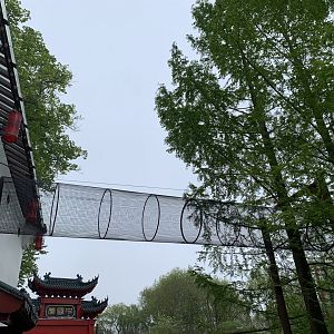 Tunnel for new monkey species to 1st indoor area