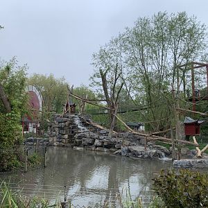 Finished island for new monkey species