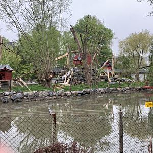 Finished island for new monkey species