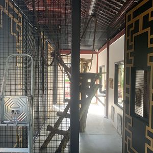 2nd indoor for new monkey species