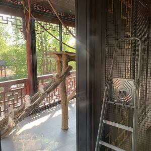 2nd indoor for new monkey species