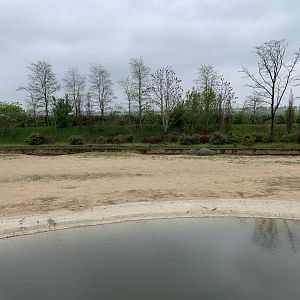 Places for new gibbon habitat