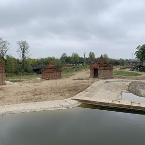 Places for new gibbon habitat