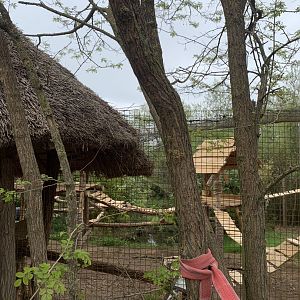 New Serval enclosure