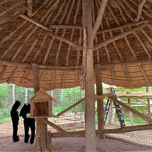 New Serval enclosure