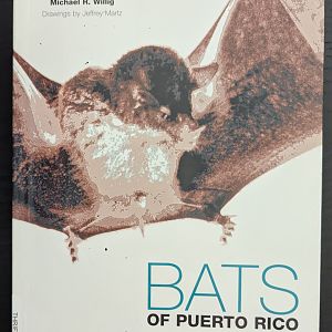 Bats of Puerto Rico: An Island Focus and a Caribbean Perspective