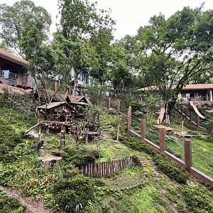 Chinese Red Panda Exhibits
