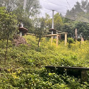 Lower Part of Leopard Exhibit