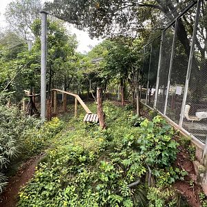 Upper Part of Leopard Exhibit