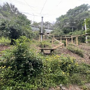 Lower Part of Jaguar Exhibit