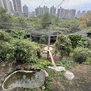 Upper Part of Jaguar Exhibit