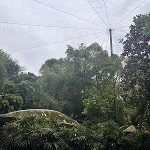 Giant Walkthrough Aviary