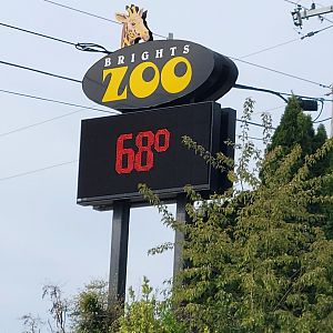Bright's Zoo
