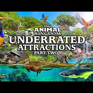 Discovery Island Virtual Tour | Zoo Tours