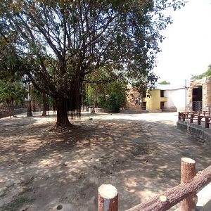 White rhinoceros paddock -  Lahore zoo 26/4/2025