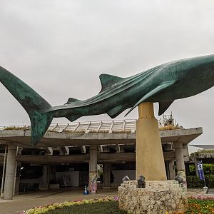 Whale Shark statue