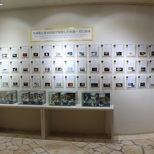 New discoveries by the Okinawa Aquarium