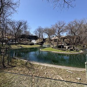 Mayan Temple Ruins - Capybara Habitat