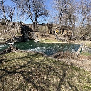 Mayan Temple Ruins - Capybara Habitat