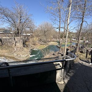 Mayan Temple Ruins - Capybara Habitat
