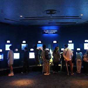 Small Life In The Coral Reef