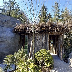Panthera former tiger enclosure redesigned upper viewing area