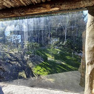 Panthera former tiger enclosure redesigned upper viewing area