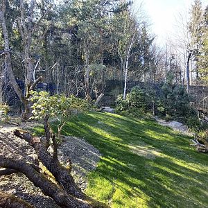 Panthera upper part of former tiger enclosure