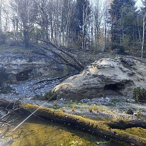 Panthera former snow leopard enclosure first viewing area view