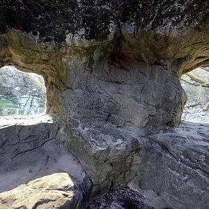 Panthera former snow leopard enclosure second viewing area
