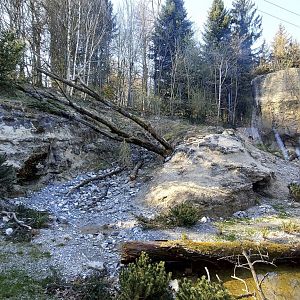 Panthera former snow leopard enclosure second viewing area view towards new pond