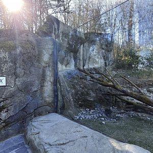 Panthera former snow leopard enclosure third and top viewing area