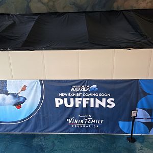 Lobby - Puffin construction