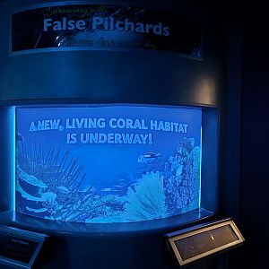 Florida Coral Reefs - Coral habitat construction
