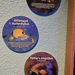 Reef Secrets -  signage