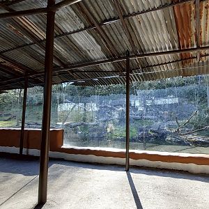 Panthera former asiatic lion enclosure main viewing area