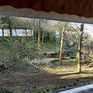 Panthera former asiatic lion enclosure second viewing area