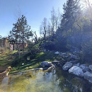 Panthera view from the former Mongolian wolf enclosure piano wire viewpoint