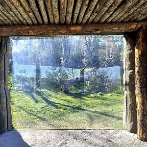 Panthera former Mongolian wolf enclosure new main viewpoint