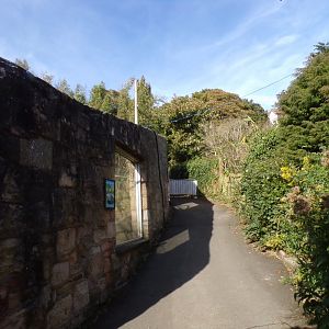 View alongside future pallas cat enclosure 16.9.24