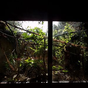 Prevost’s squirrel enclosure 16.9.24