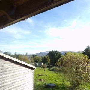 View from giant anteater enclosure 16.9.24