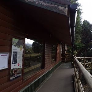 Banteng indoor viewing 16.9.24