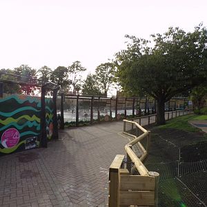 New penguin parade area 16.9.24