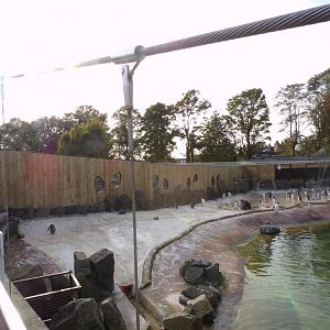Refurbished penguin enclosure 16.9.24