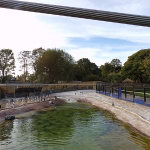 Refurbished penguin enclosure 16.9.24