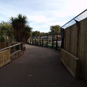 New penguin parade area 16.9.24