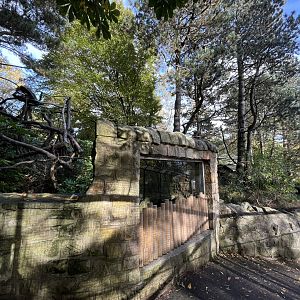View of both red panda enclosures 17.10.24
